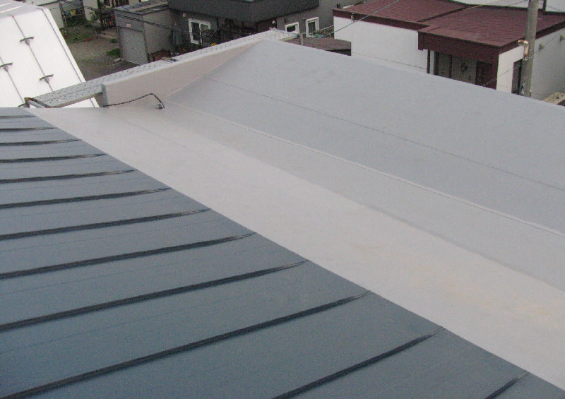 屋根専門業者考案　屋根の雨漏り対策
